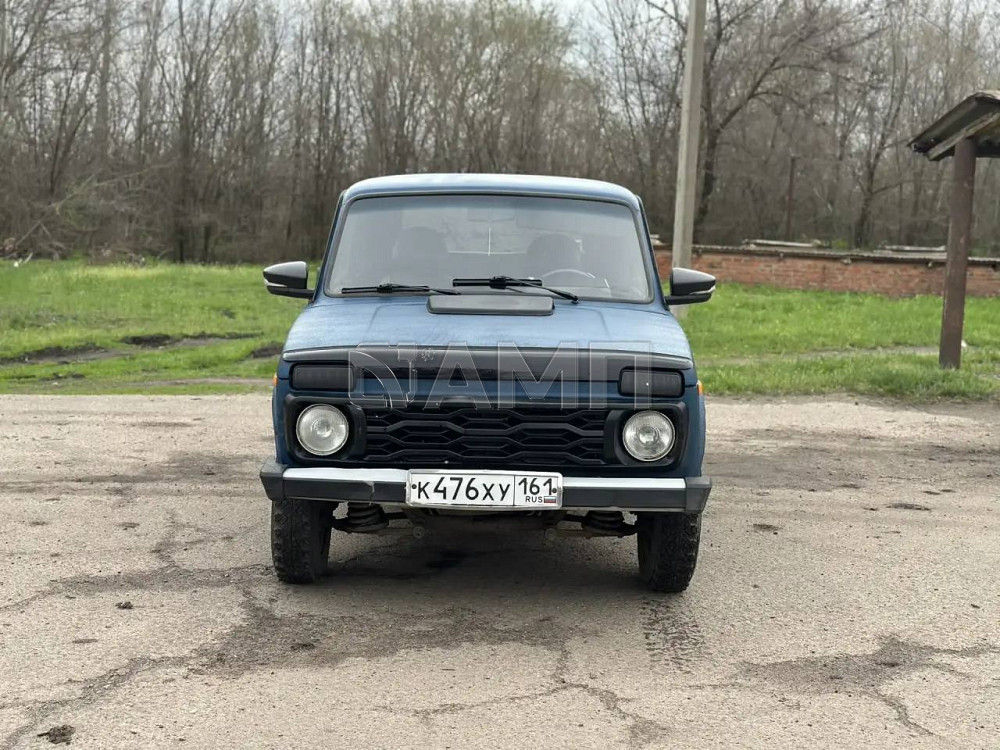 ВАЗ Нива 21214 2002 Счастье - изображение 8