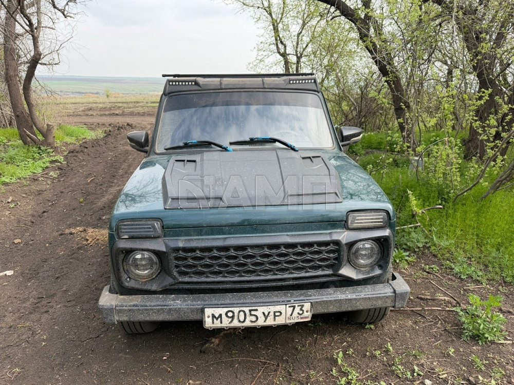 Lada Niva 2007 Докучаевск - изображение 3