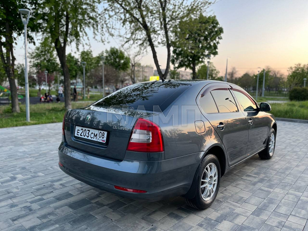 Skoda Octavia Мариуполь - изображение 7