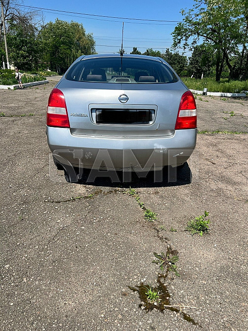 Nissan Primera 2003 Горловка - изображение 4
