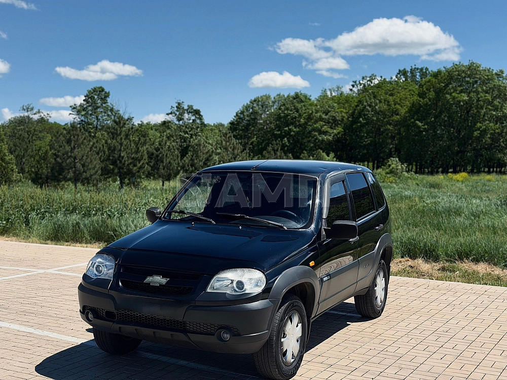 Chevrolet Niva 2010  - изображение 6