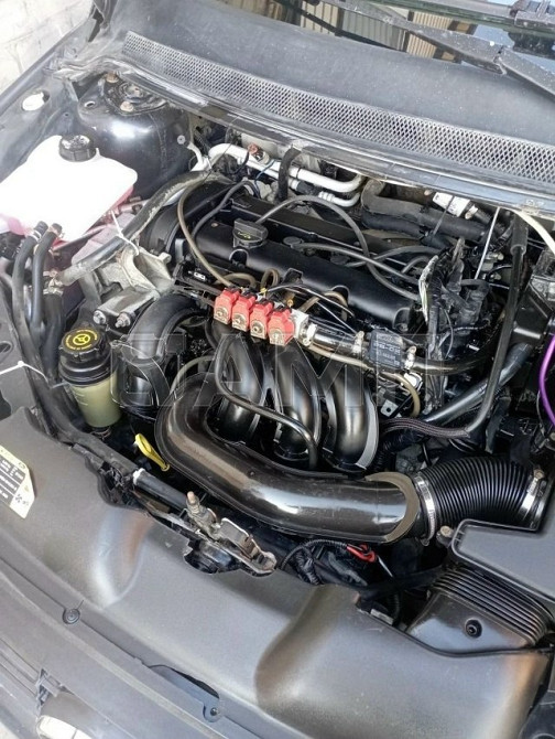 Ford Focus 2008  - изображение 2